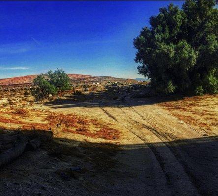 photo of Mohammed N.