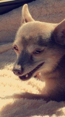 photo of Stephanie K.