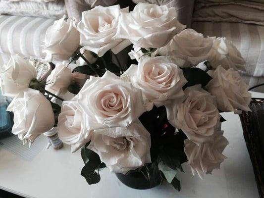 photo of Patricia P.