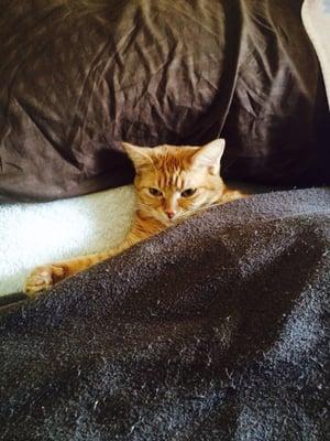 photo of Michelle S.