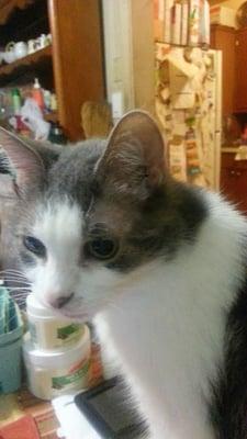 Photo of Tonya M.