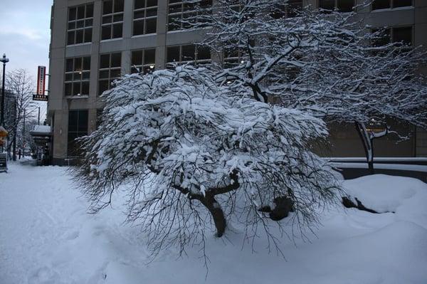 photo of Christopher P.