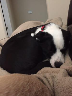 Photo of Alexandra C.