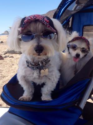 photo of Jennifer W.