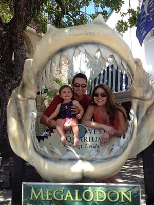 photo of Joe Anna H.