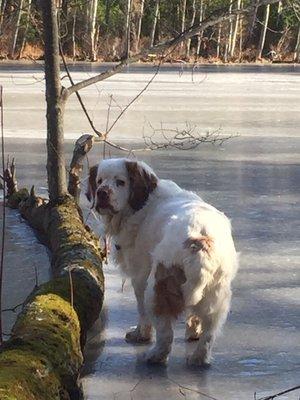 photo of Jonathan S.