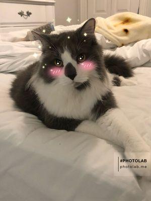 Photo of Leafy S.