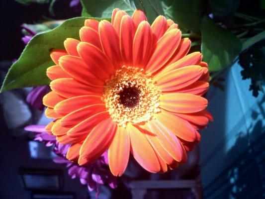 photo of Catherine M.