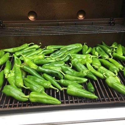 photo of Michelle D.