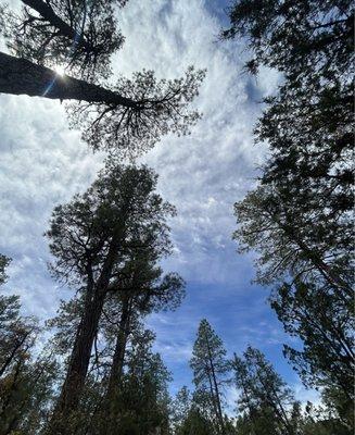 photo of Precious B.