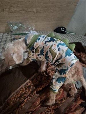 photo of Guillermo S.