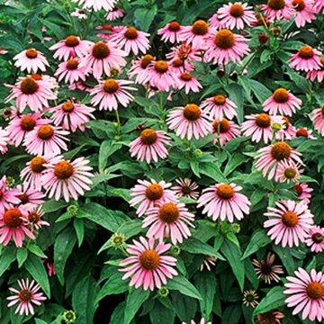 photo of Christine G.