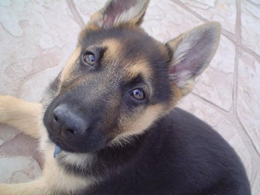 Photo of Nelli C.