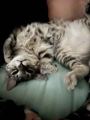 photo of Carolina R.