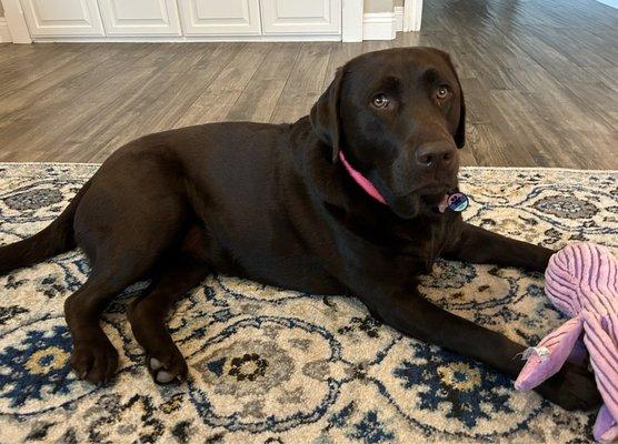 photo of Patricia P.