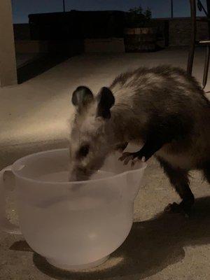 photo of TheDiyBlonde ..