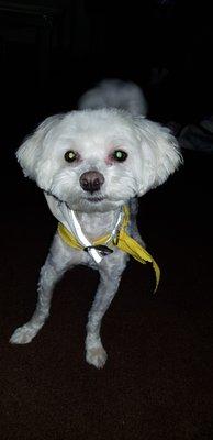 photo of Dioselina A.