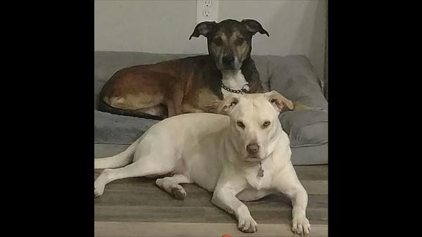 photo of Catherine D.