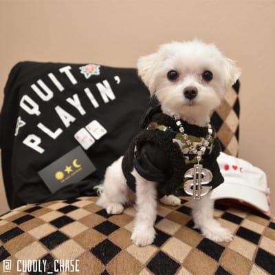 photo of Ceasefire15 O.