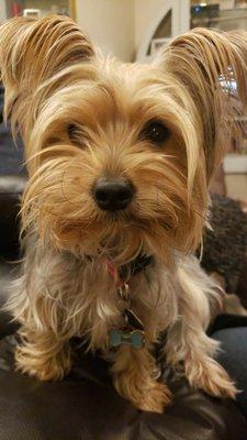 Photo of Luna E.