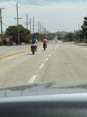 photo of Nicholas K.