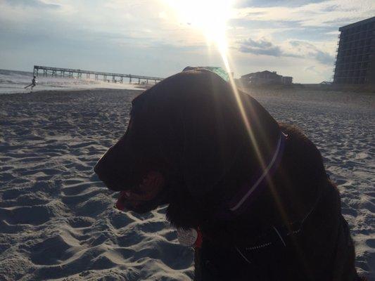 photo of Kimberly F.