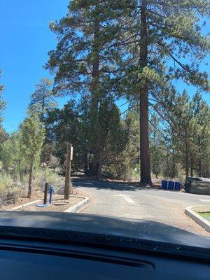 photo of Magdalena M.