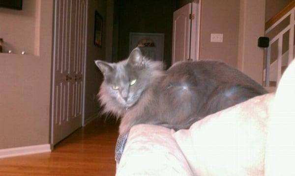 photo of Katherine F.