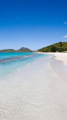 photo of Michelle D.