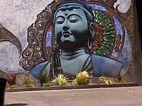 photo of Danielle B.