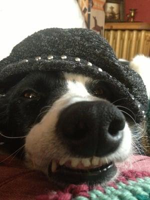 photo of Katerina S.