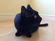 photo of Charlotte H.