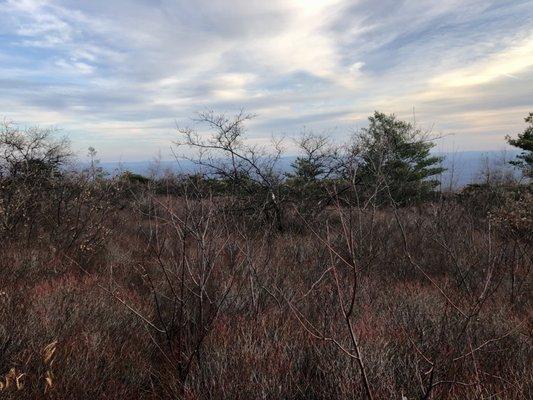 photo of Mohammad K.