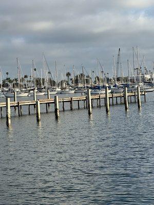 photo of MajorScale Wanderlust Expedition T.