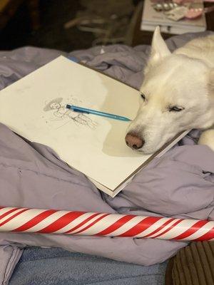 photo of Jennifer R.