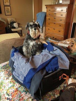 photo of Elizabet S.