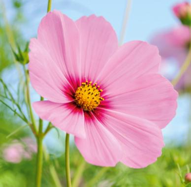 photo of Amairani Valeria O.