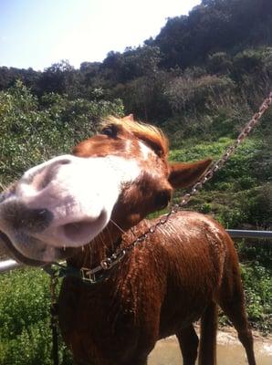 photo of UnknownEater 1.