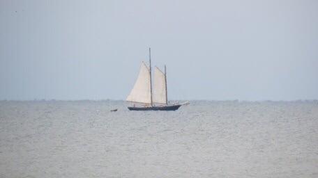 Photo of M H M.