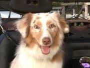 photo of Jennifer D.