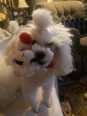 Photo of Debbey C.