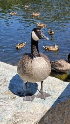 photo of Christopher T.