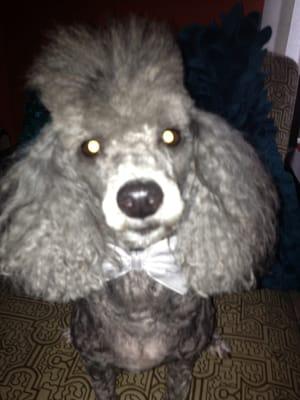 photo of Couture B.