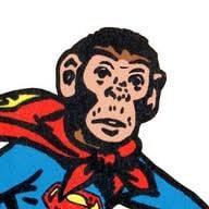 Photo of Monkey M.
