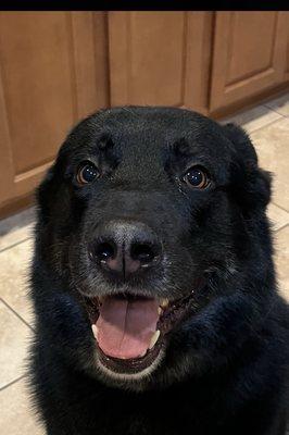 photo of Clarissa P.