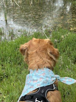 photo of Michelle T.