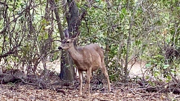 photo of Jennifer G.