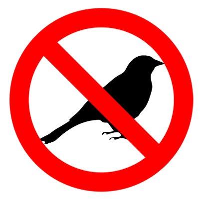 photo of Guardian D.