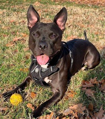 photo of Jennifer B.