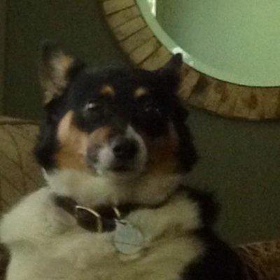 Photo of Luna B.